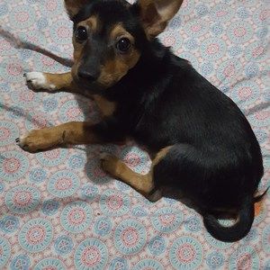 Meet your Posher, Lucas